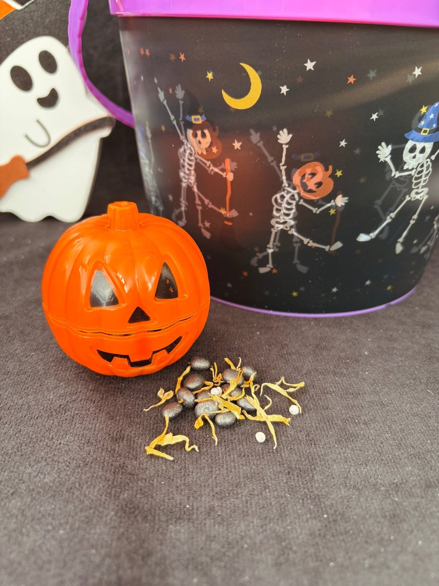 👻🎃 FarbiTo v tekvici ako darček! - BubleTo